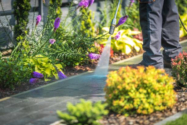 Pre-Holiday Cleaning in Raleigh Hills, OR